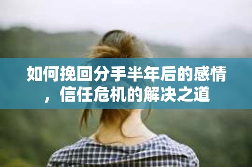 如何挽回分手半年后的感情，信任危机的解决之道