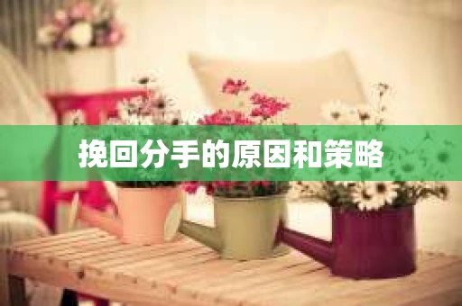 挽回分手的原因和策略