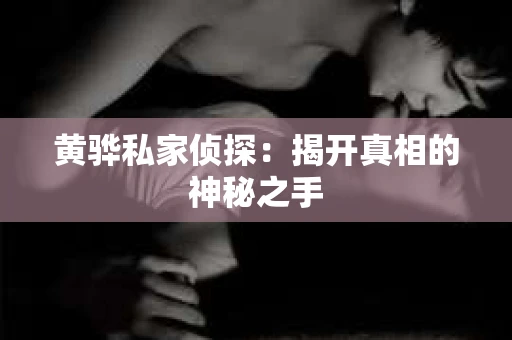 黄骅私家侦探：揭开真相的神秘之手