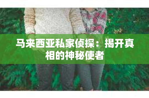 马来西亚私家侦探：揭开真相的神秘使者