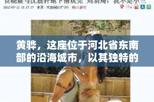 黄骅，这座位于河北省东南部的沿海城市，以其独特的地理位置和丰富的历史文化而闻名。然而，在这座城市中，还有一群人，他们以另一种方式默默守护着社会的公平与正义——私家侦探。今天，我们就来聊聊黄骅的私家侦探，看看他们是如何在这个城市中发挥作用的。