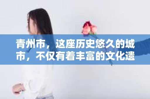 青州市，这座历史悠久的城市，不仅有着丰富的文化遗产，也有着现代生活的便捷。那么，问题来了——青州市有私家侦探公司吗？这个问题，对于需要侦探服务的人来说，无疑至关重要。接下来，我就来为大家揭开这个谜底。