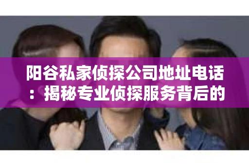 阳谷私家侦探公司地址电话：揭秘专业侦探服务背后的故事