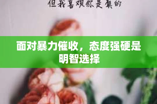 面对暴力催收，态度强硬是明智选择