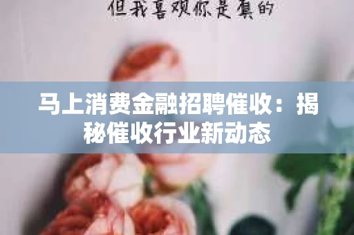 马上消费金融招聘催收：揭秘催收行业新动态