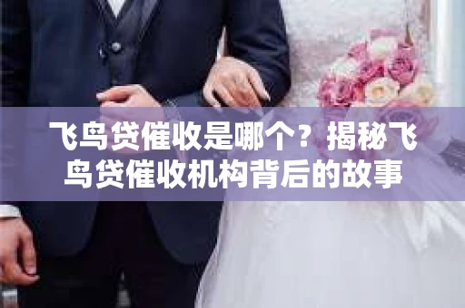 飞鸟贷催收是哪个？揭秘飞鸟贷催收机构背后的故事
