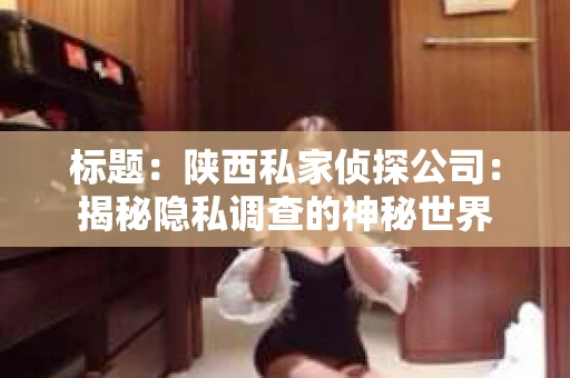 标题：陕西私家侦探公司：揭秘隐私调查的神秘世界
