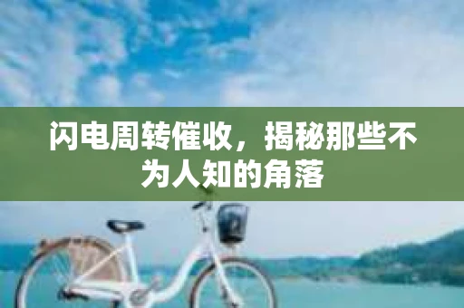 闪电周转催收，揭秘那些不为人知的角落