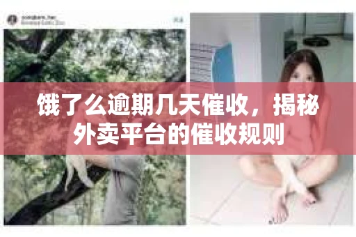饿了么逾期几天催收，揭秘外卖平台的催收规则