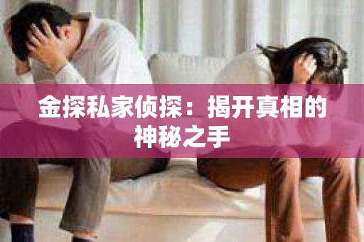 金探私家侦探:揭开真相的神秘之手 金探私家侦探:揭开真相的神秘之手