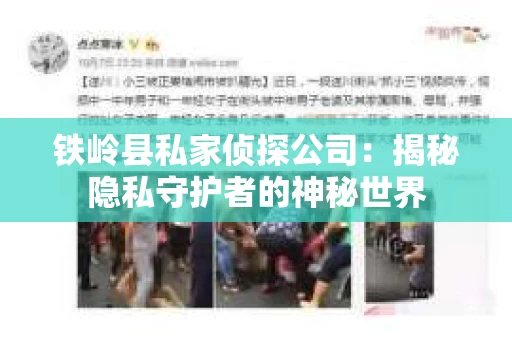 铁岭县私家侦探公司：揭秘隐私守护者的神秘世界
