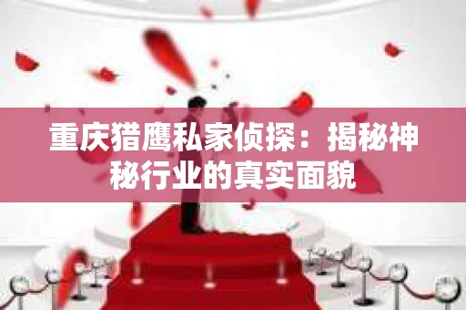 重庆猎鹰私家侦探：揭秘神秘行业的真实面貌