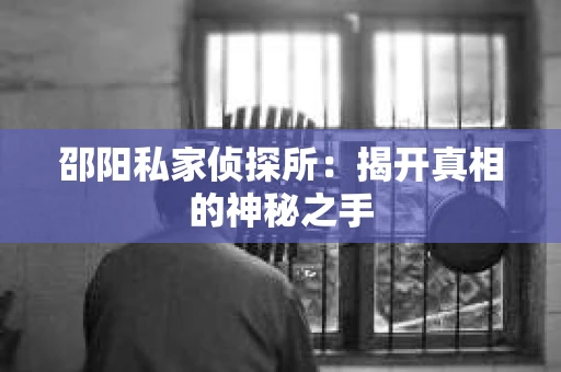 邵阳私家侦探所：揭开真相的神秘之手