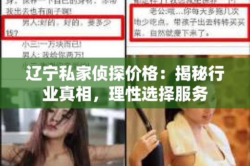 辽宁私家侦探价格：揭秘行业真相，理性选择服务