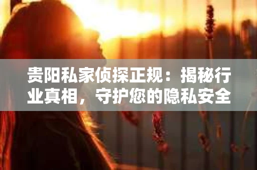 贵阳私家侦探正规：揭秘行业真相，守护您的隐私安全