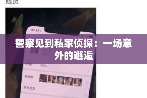 警察见到私家侦探：一场意外的邂逅