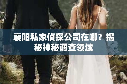 襄阳私家侦探公司在哪？揭秘神秘调查领域