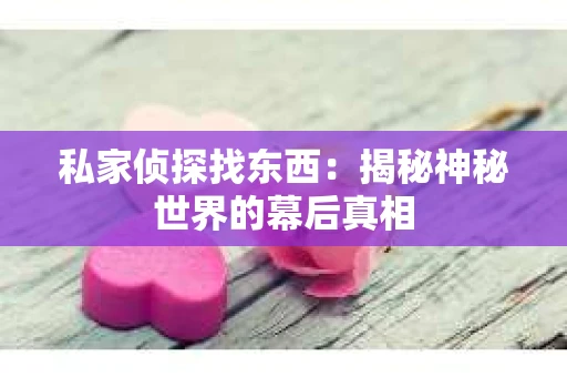 私家侦探找东西：揭秘神秘世界的幕后真相