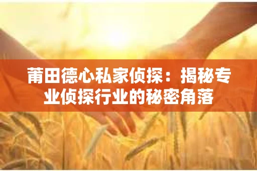 莆田德心私家侦探：揭秘专业侦探行业的秘密角落