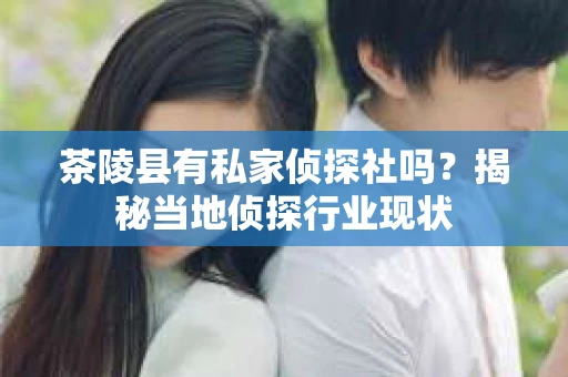 茶陵县有私家侦探社吗？揭秘当地侦探行业现状