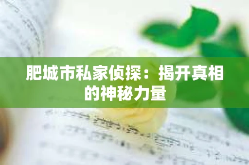 肥城市私家侦探：揭开真相的神秘力量