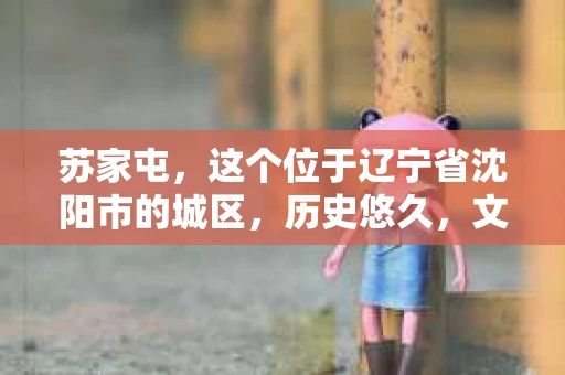 苏家屯，这个位于辽宁省沈阳市的城区，历史悠久，文化底蕴深厚。近年来，随着社会的发展，人们对于私家侦探的需求也逐渐增加。那么，苏家屯有私家侦探吗？今天，我们就来聊聊这个话题。