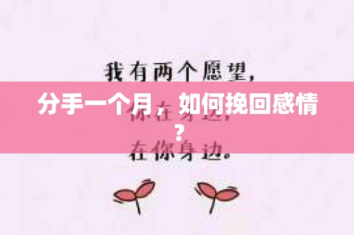 分手一个月,如何挽回感情? 分手一个月,如何挽回感情?