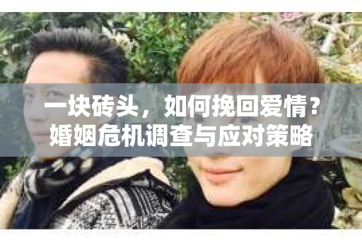 一块砖头，如何挽回爱情？婚姻危机调查与应对策略