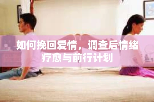 如何挽回爱情，调查后情绪疗愈与前行计划