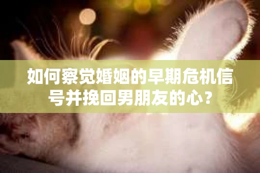 如何察觉婚姻的早期危机信号并挽回男朋友的心？