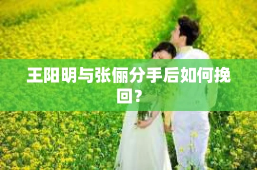 王阳明与张俪分手后如何挽回？