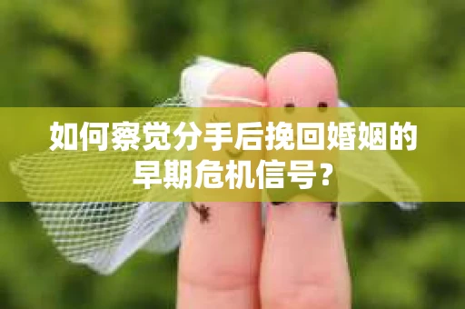 如何察觉分手后挽回婚姻的早期危机信号？