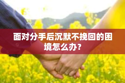 面对分手后沉默不挽回的困境怎么办？